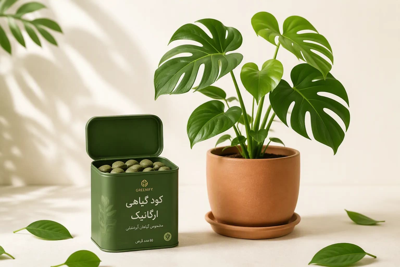 قوطی قرص کود Kervo کنار گلدان گیاه آپارتمانی